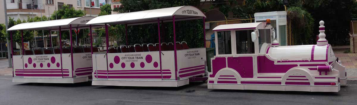 City Tour Train Pink